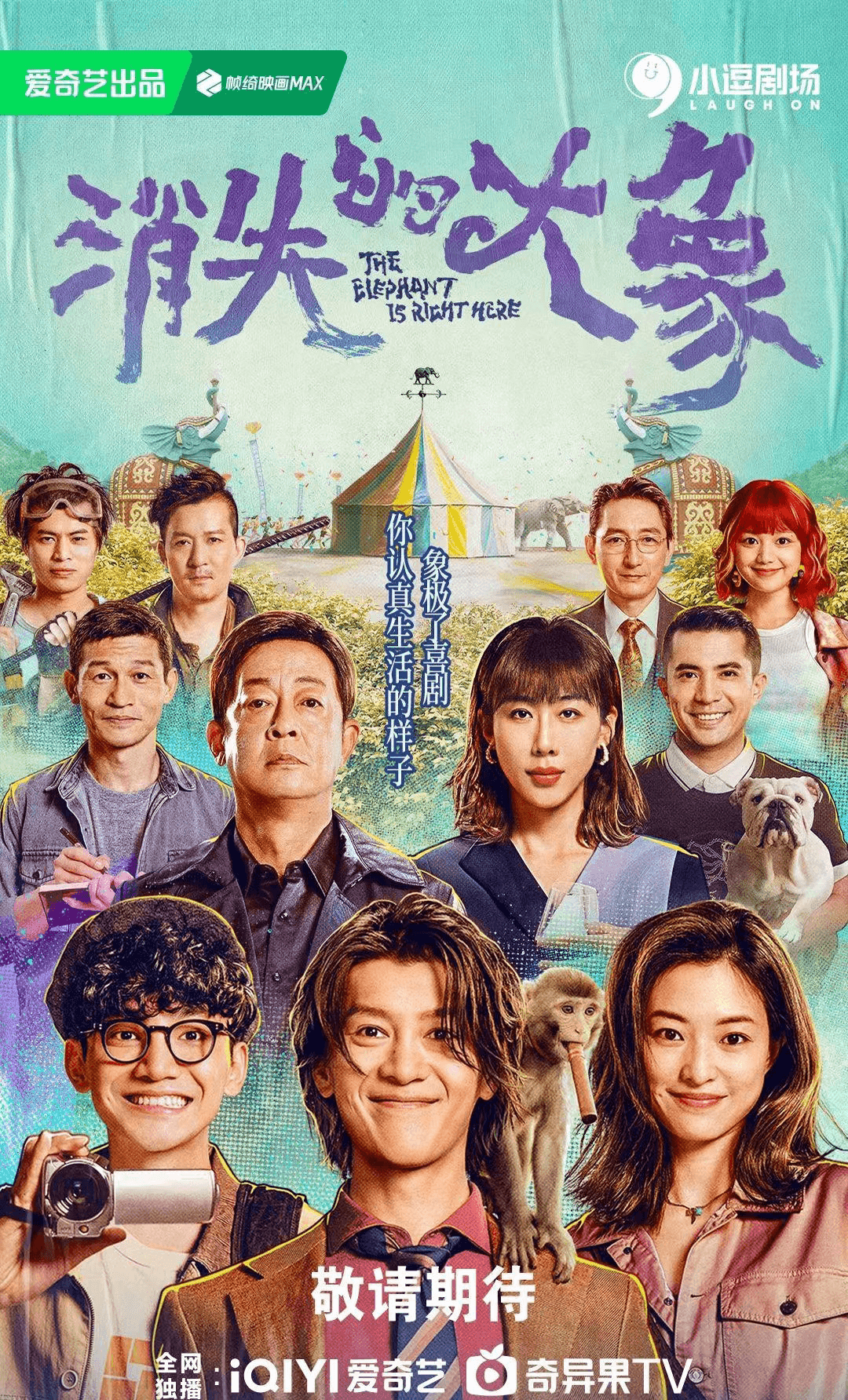 消失的大象